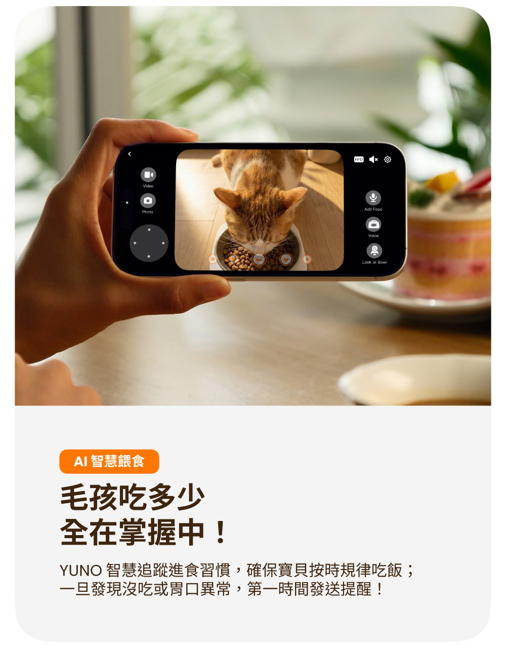 餵食機